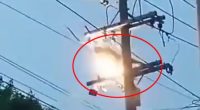 A cable thief is electrocuted and falls from a utility pole.