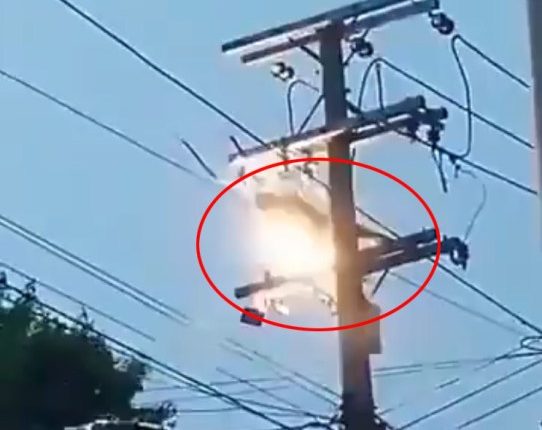 A cable thief is electrocuted and falls from a utility pole.