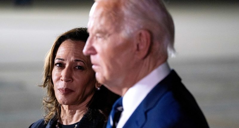 How Biden's frailties hampered Harris