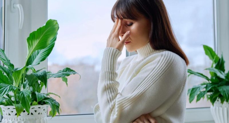 How can I convince my paranoid friend to get mental health help?