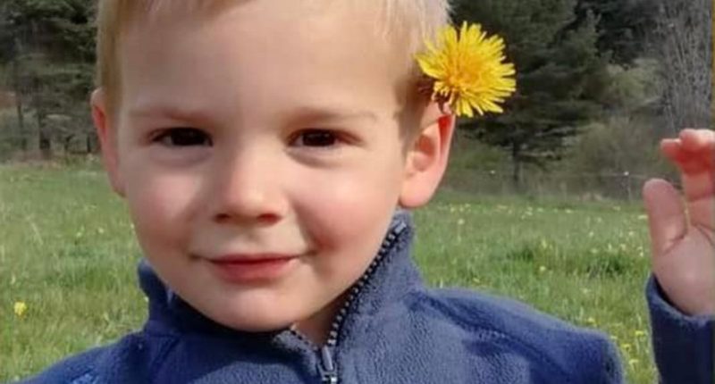 Photo of two-year-old Emile Soleil.