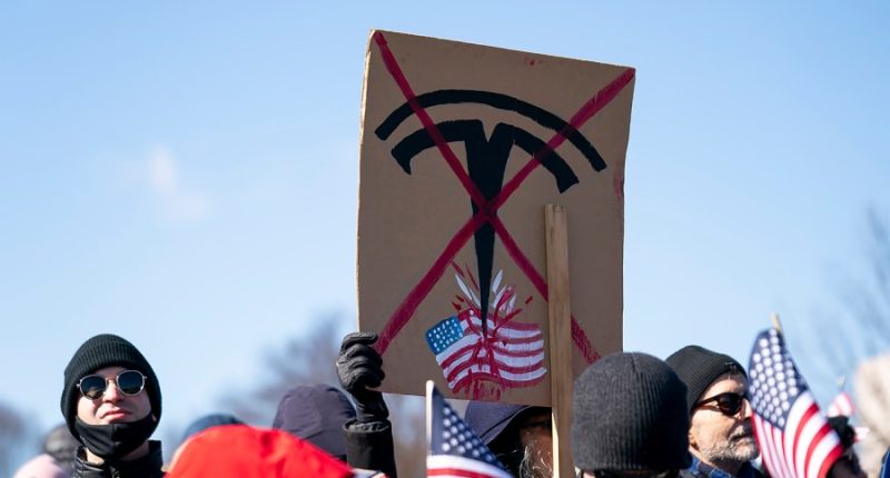Hundreds protest Tesla showrooms over Musk's DOGE work