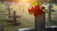 I want to stop putting flowers on my parents' graves