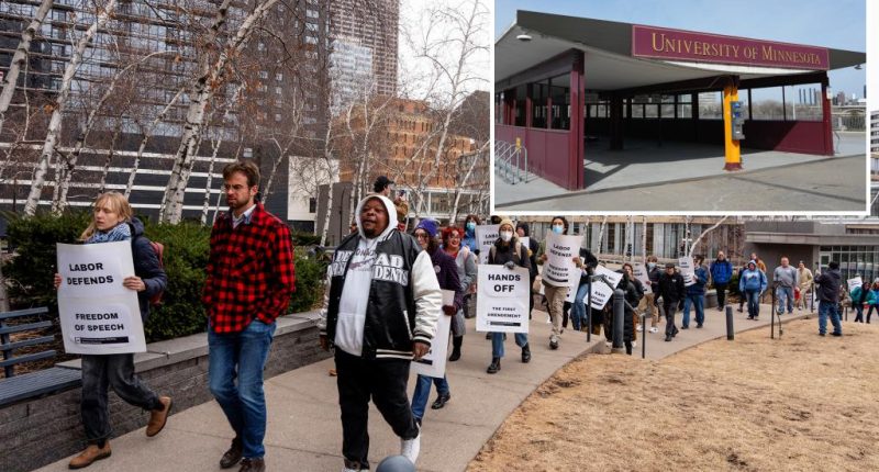 ICE detains international grad student at University of Minnesota in federal crackdown continues