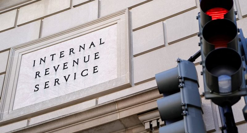 IRS workers 'paralyzed' by DOGE's cuts claim Musk reshaping the agency