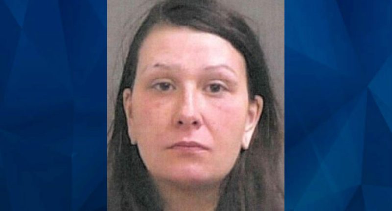 Indiana Mom Leaves Infants Home Alone for 14 Hours While She’s Out Drinking, Getting Arrested