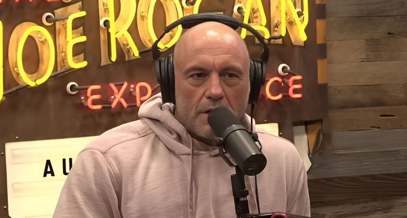 Joe Rogan Revealed His Thoughts On Hit TV Show 'Severance'