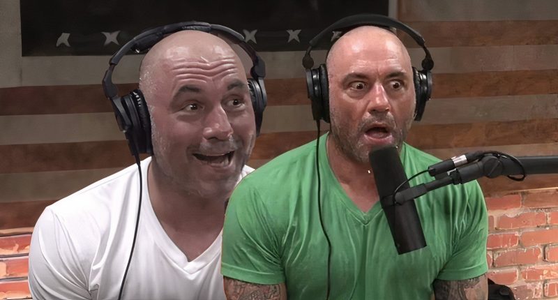 Joe Rogan Was Called Out For Accepting ‘Hateful’ Talk By A Successful Comedian And Sitcom Star