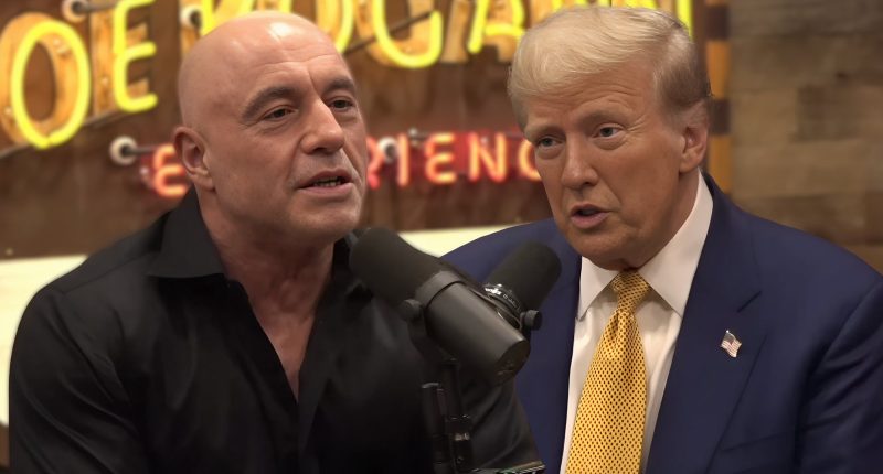 Joe Rogan's Absurd Theory About Trump's Assassination Attempt