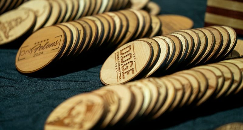 Judge declines to block DOGE from taking over African development agency