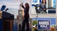 Kamala Harris campaign required she only be seated in chairs that 'met certain specifications'