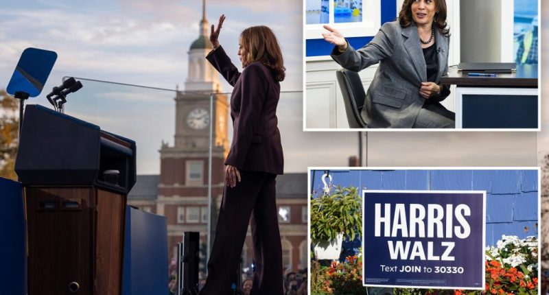 Kamala Harris campaign required she only be seated in chairs that 'met certain specifications'