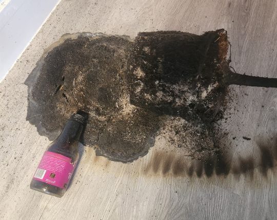 Lake Wales business vandalized by Molotov cocktails, graffiti saying 'Trump Civil War'