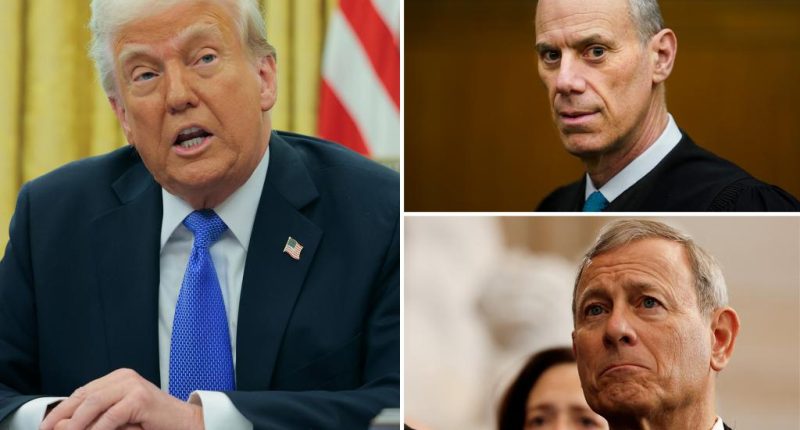 Lower courts blocking Trump's executive orders at much higher rate than predecessors