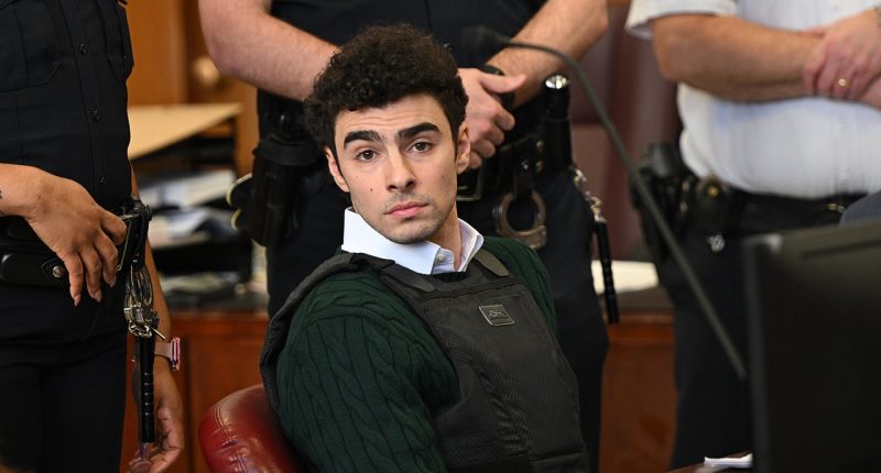 Luigi Mangione wants laptop in jail cell to 'properly help prepare his defense,' lawyers say