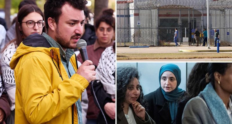 Mahmoud Khalil to remain in Louisiana ICE facility as judge refuses to free him at court hearing attended by wife