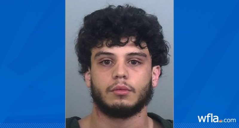 Manatee County man accused of battering pregnant girlfriend