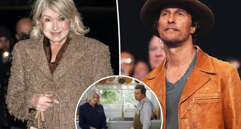 Martha Stewart admits Matthew McConaughey 'scared' her during 'crazy' filming experience