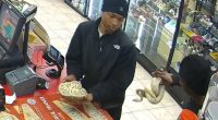 Men with pythons wanted for Tennessee gas station theft