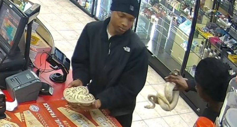 Men with pythons wanted for Tennessee gas station theft