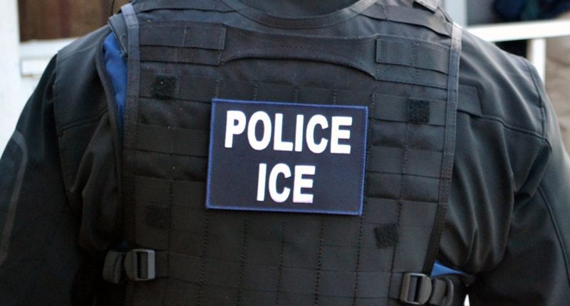 Mexican national convicted in deadly semi-truck crash in Colorado detained by immigration authorities