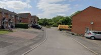Residential street with parked cars and a van.