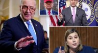 Moderate Dems hatch comeback plan that distances party from far left, 'embraces patriotism'