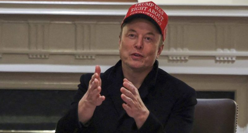 Musk: Wisconsin Supreme Court race 'might decide the future of America and Western Civilization'