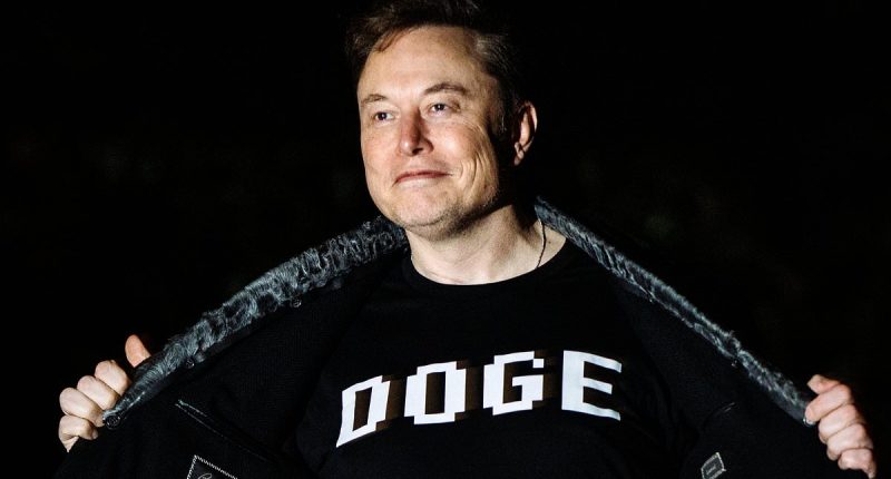 Musk floats action against judge who blocked Trump's deportation