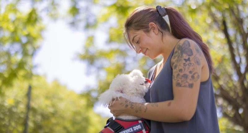 My niece disinvited me from her wedding because I have a service dog