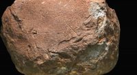 Stone with possible 200,000-year-old carvings.