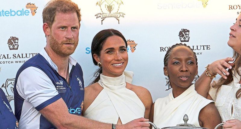 NADINE DORRIES: There's only one excuse left for Harry's behaviour