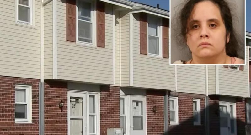 NJ mom Kimberly Cruz-Feliciano made young child wear dog's shock collar: cops