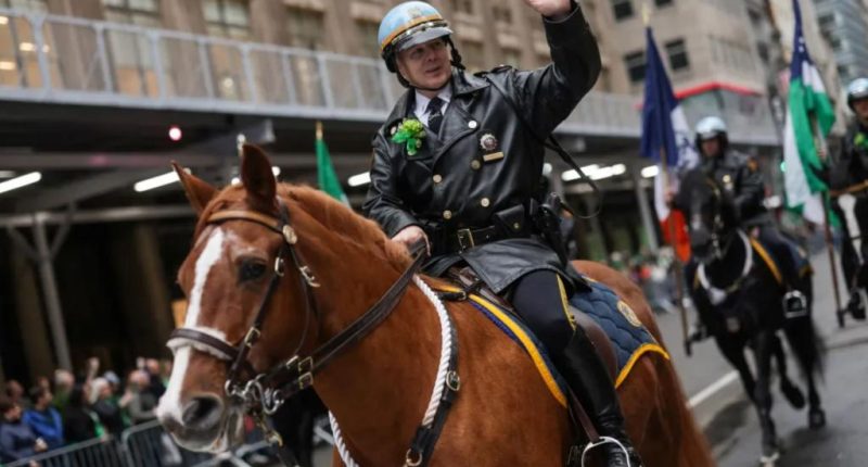 NYPD reviewing its $734K contract for horse vet with decades-long history of violations