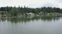 Aerial view of houses on Lake Oswego.