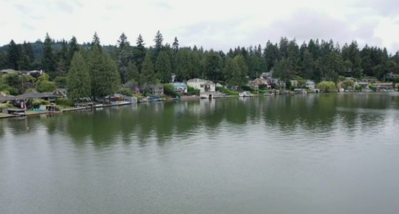 Aerial view of houses on Lake Oswego.