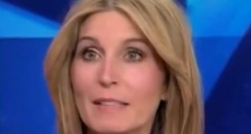 Nicolle Wallace gives sickening take on boy honored by Trump