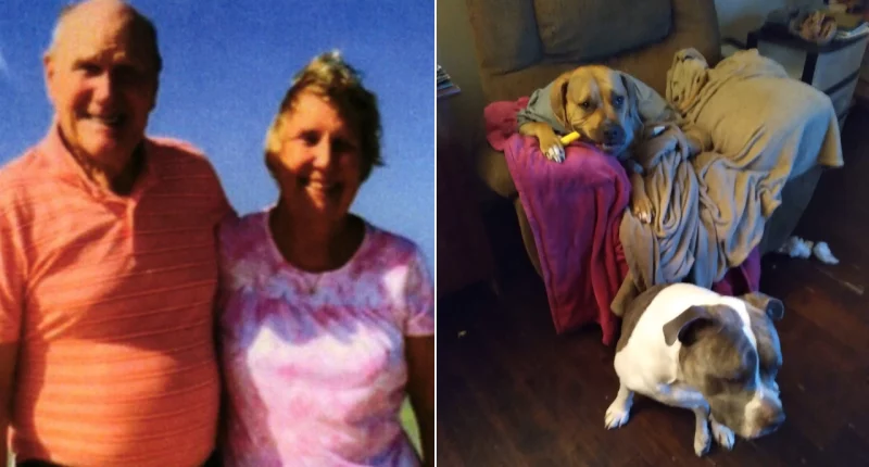 Ohio grandmother mauled to death by pit bulls while ‘peacefully gardening’: lawsuit