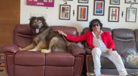 Man in red jacket sitting on a couch with a large dog.