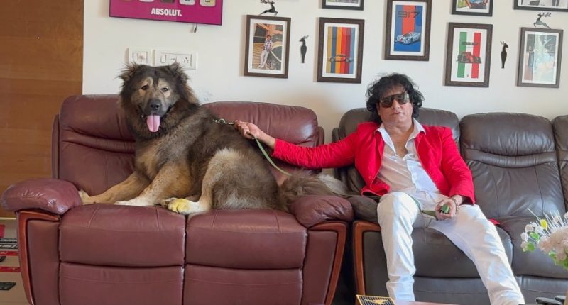 Man in red jacket sitting on a couch with a large dog.