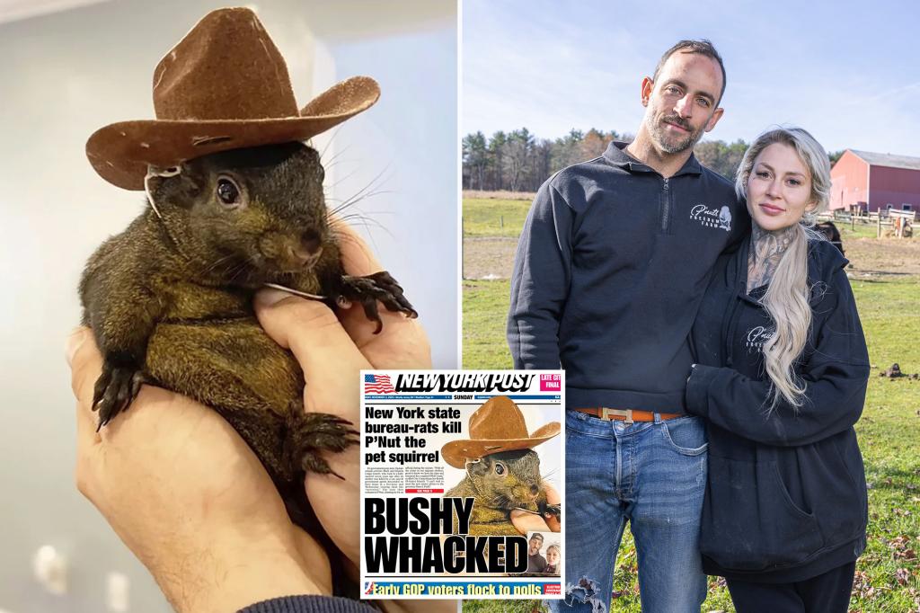 P'Nut the squirrel's owner slams NY's months-late apology — and still doesn't have remains