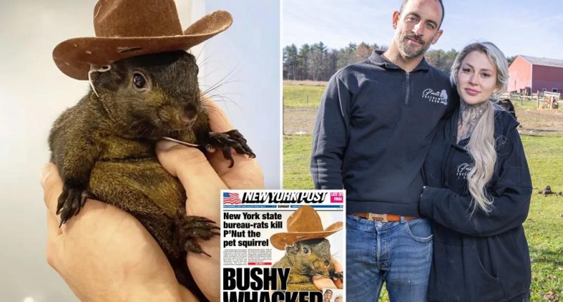 P'Nut the squirrel's owner slams NY's months-late apology — and still doesn't have remains