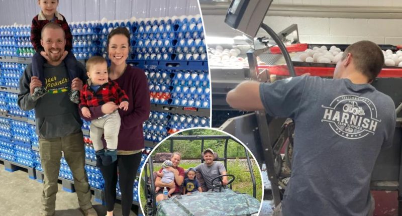 Pennsylvania couple Emily and Cole Martin swap their three-bedroom home to 19-acre farm with 68,000 chickens