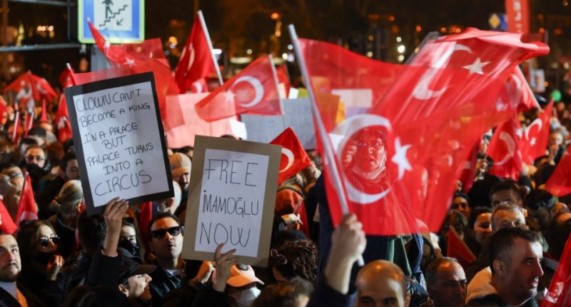 Protestors holding signs that read "Clown can't become a king in a palace but palace turns into a circus" and "Free Imamoglu Now."