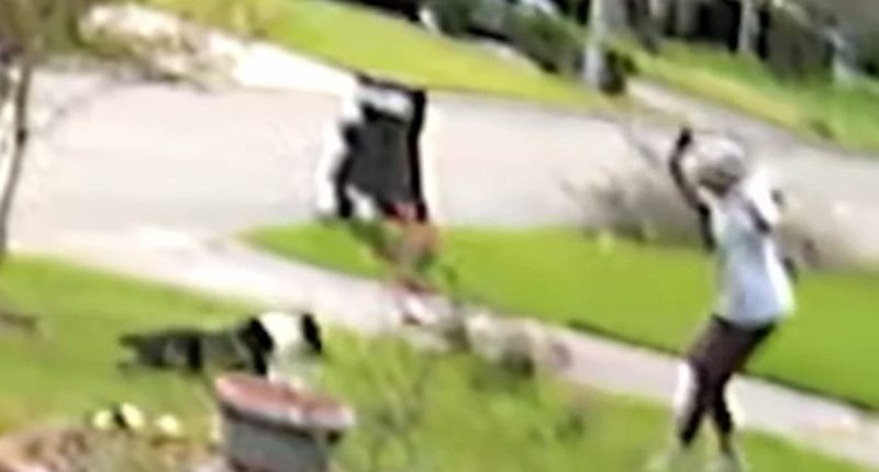 Pit bull attacks woman in her garden and rips part of her face off