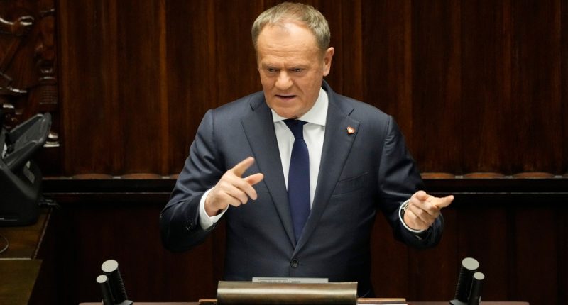 Polish government plans mandatory military training for adult men