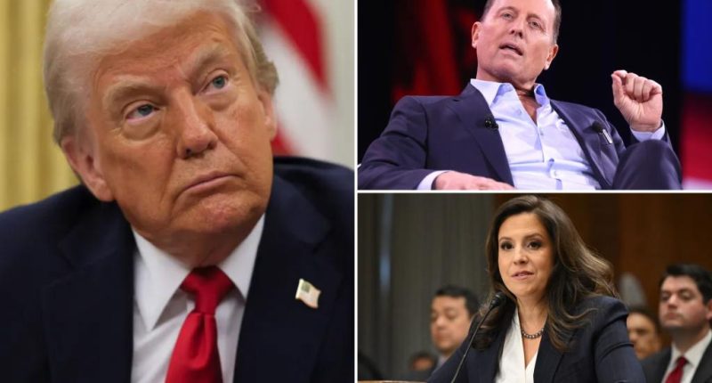 President Trump says Ric Grenell may be his UN ambassador — as he confirms plans for first foreign trip