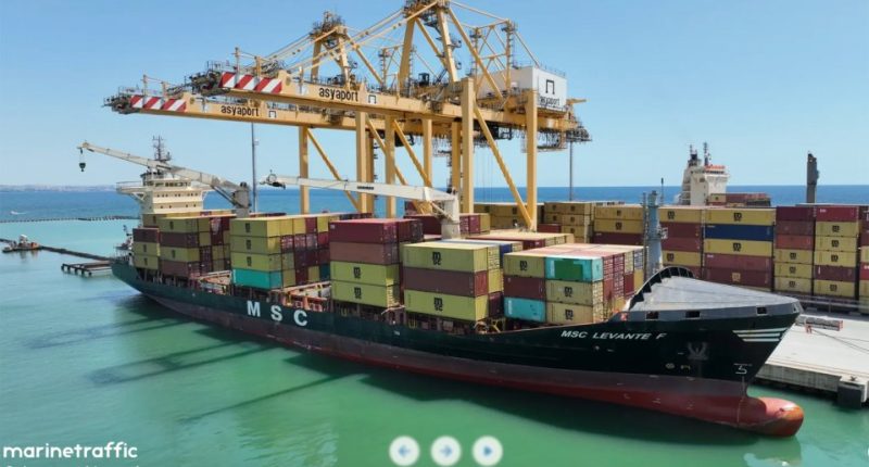 Container ship MSC Levante F at port.