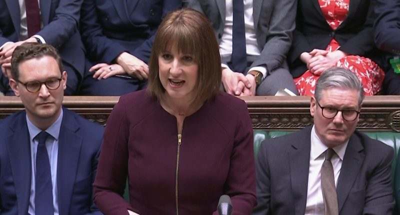 Rachel Reeves delivering her spring statement to MPs in the House of Commons.