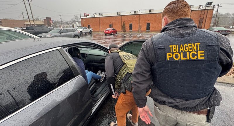 Red state hunts Tren de Aragua terrorists as judges light ‘credibility on fire’ fighting deportations: senator